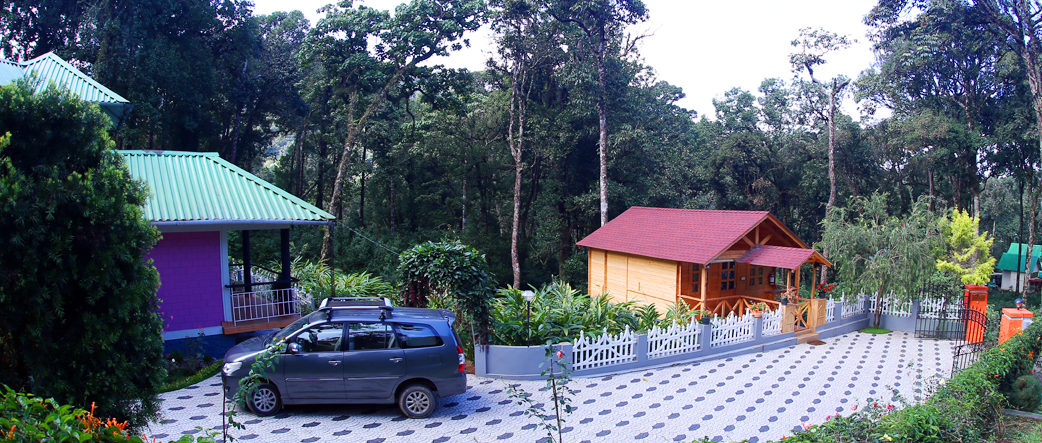 Rainforestmunnar