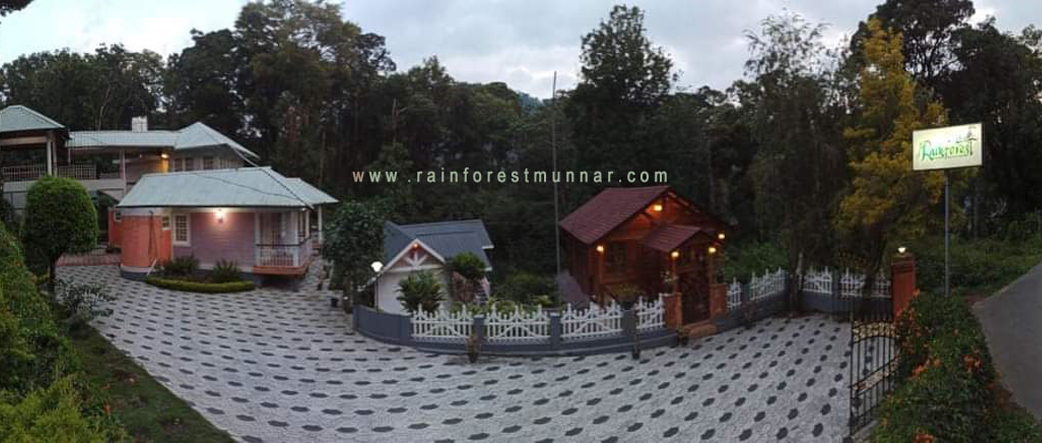 Rainforestmunnar